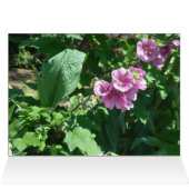 Hollyhocks - Blank Card (Inside Horizontal (Top))