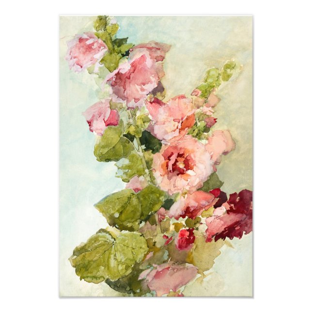 Hollyhocks by Franz Bischoff Photo Print (Front)
