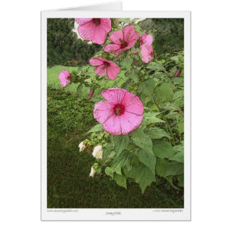 Hollyhocks Cards