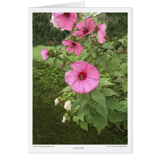 Hollyhocks Cards (Front)