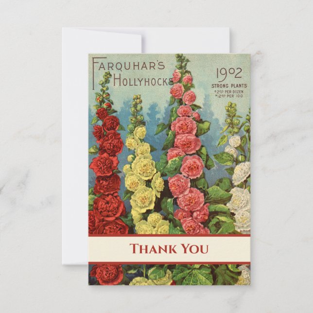 Hollyhocks Red Peach Yellow Cream 1902 Seed Packet Thank You Card (Front)