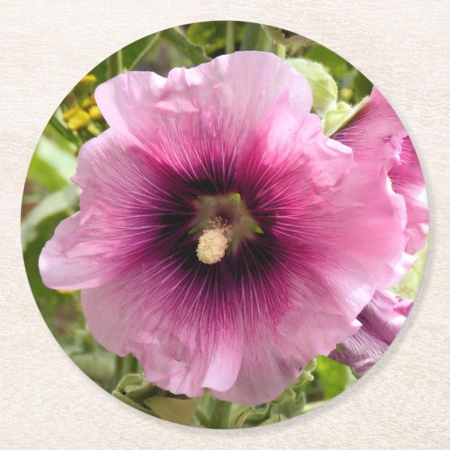 HOLLYHOCKS ROUND PAPER COASTER (Front)