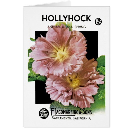 Hollyhocks Vintage Seed Packet Cards (Front)