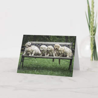 Holly's Half Dozen bench photo card