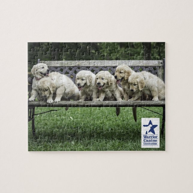 Holly's Half Dozen bench puzzle (Horizontal)