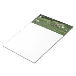 Holly's Half Dozen romp notepad