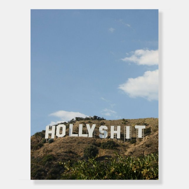 Hollyshit Foam Board (Front)