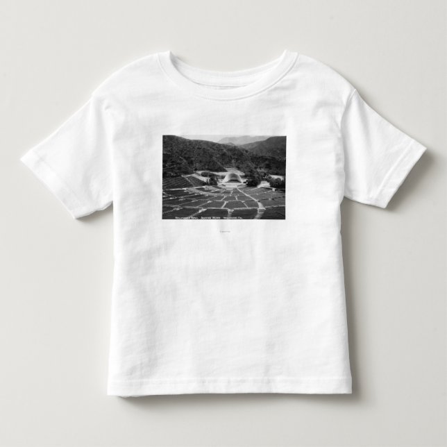 Hollywood, California Hollywood Bowl View Toddler T-shirt (Front)