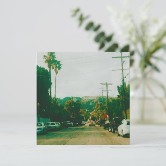 Hollywood Hills (Standing Front)
