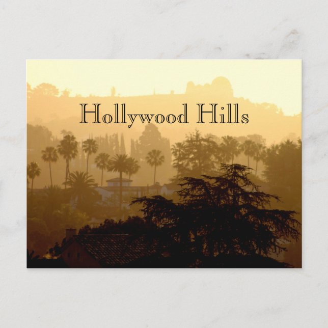 Hollywood Hills, California Postcard (Front)