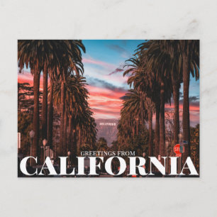 Hollywood, Los Angeles, California Postcard