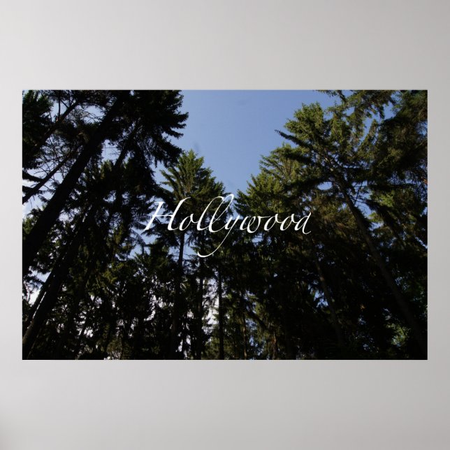 Hollywood Poster (Front)