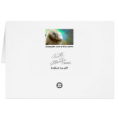Holographic Annie Cards (Back Horizontal)