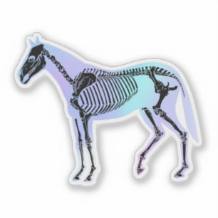 Holographic Horse Skeleton Equine Anatomy Vet Tech Sticker