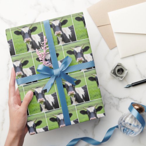 Holstein Bull In Green Pasture Wrapping Paper