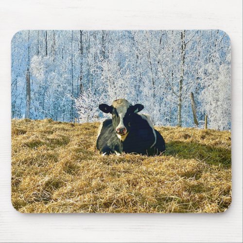 Holstein Calf on Frosty Alberta Morning Mouse Pad