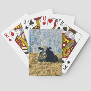 Holstein Calf on Frosty Alberta Morning Poker Cards