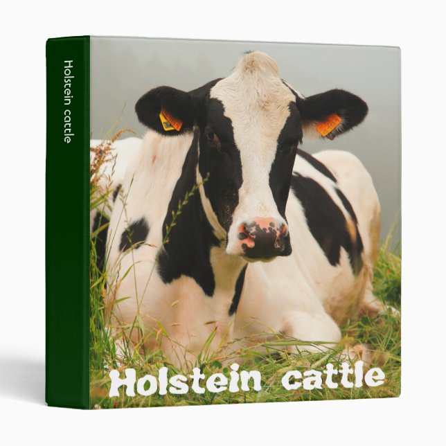 Holstein cow 3 ring binder (Front/Spine)