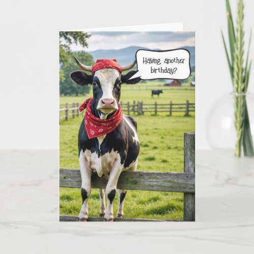 Holstein Cow Birthday Humor Card