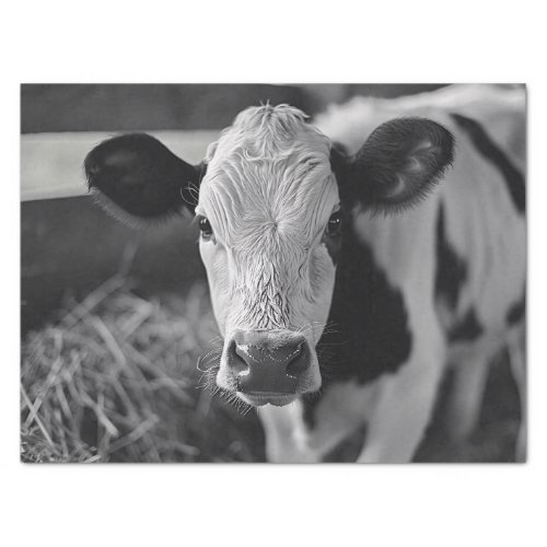 Holstein Cow Black and White Decoupage Tissue Paper