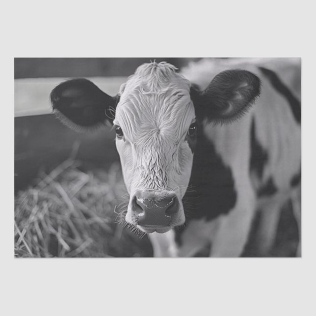Holstein Cow Black and White Decoupage Tissue Paper (Front)