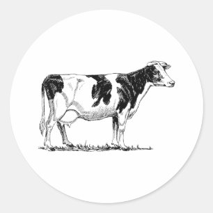 Holstein Cow Classic Round Sticker