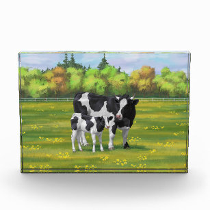 Holstein Cow & Cute Calf in Summer Pasture Acrylic Award