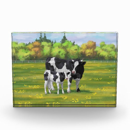 Holstein Cow  Cute Calf in Summer Pasture Acrylic Award