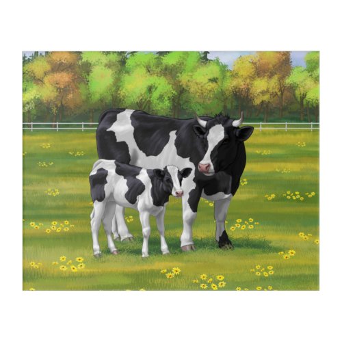 Holstein Cow  Cute Calf in Summer Pasture Acrylic Print