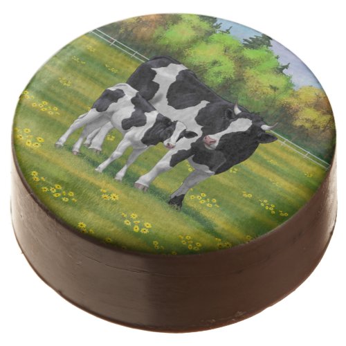 Holstein Cow  Cute Calf in Summer Pasture Chocolate Covered Oreo