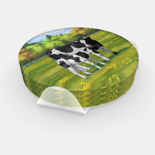 Holstein Cow & Cute Calf in Summer Pasture Coaster Set