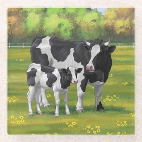 Holstein Cow  Cute Calf in Summer Pasture Glass Coaster
