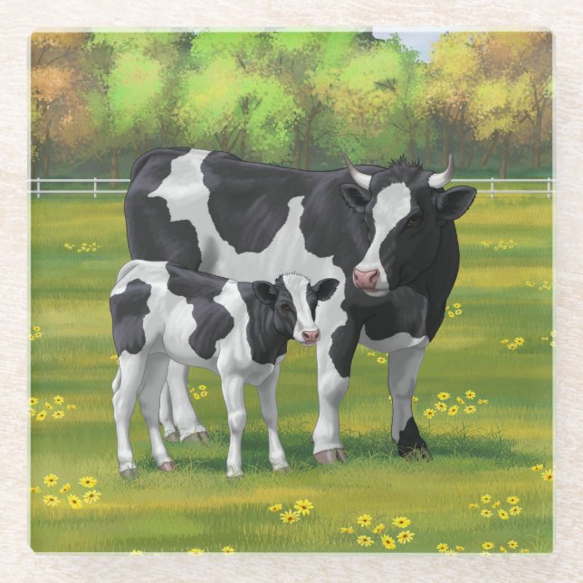 Holstein Cow & Cute Calf in Summer Pasture Glass Coaster (Front)