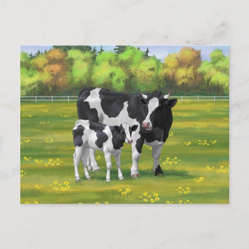 Holstein Cow  Cute Calf in Summer Pasture Postcard