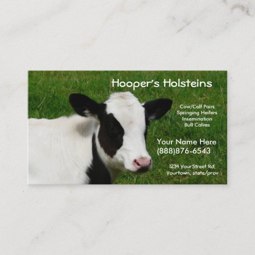Holstein Cow Dairy Cattle Ranch Business Card