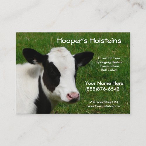 Holstein Cow Dairy Cattle Ranch Business Card