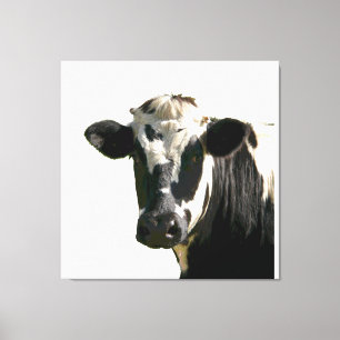 Holstein Cow Farm Animal Dairy Black & White Canvas Print