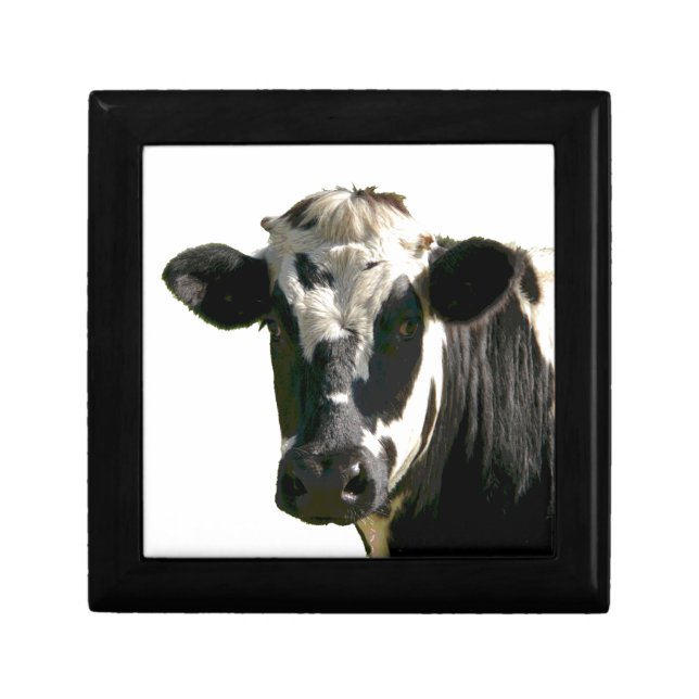 Holstein Cow Farm Animal Dairy Black & White Gift Box (Front)