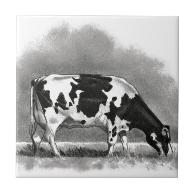 Holstein Cow Grazing: Realism Pencil Drawing Tile (Front)