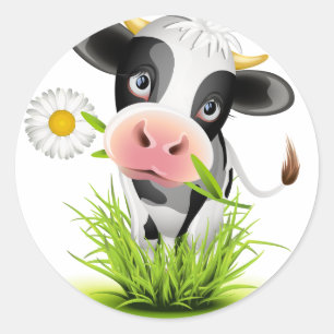 Holstein cow in grass classic round sticker