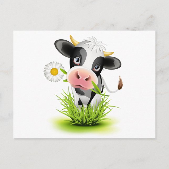 Holstein cow in grass postcard (Front)
