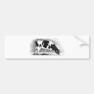 Holstein Cow: Pencil Drawing: Farm, Country Bumper Sticker