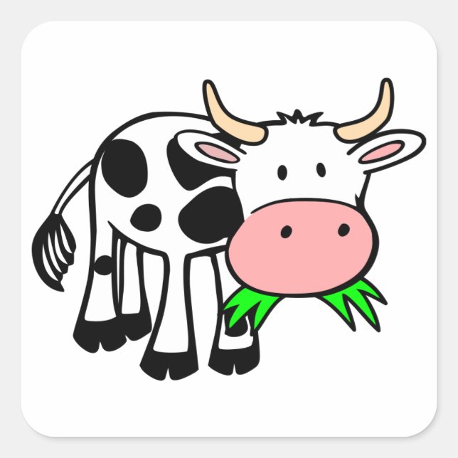 Holstein cow square sticker (Front)
