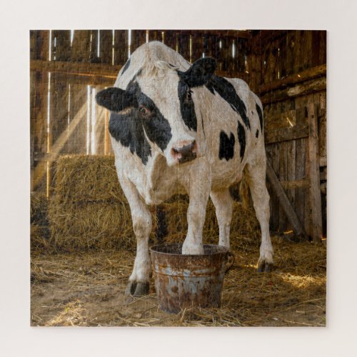 Holstein Cow Standing in a Rusty Bucket Jigsaw Puzzle