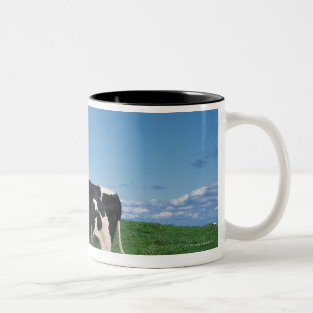 Holstein cow standing in field, Bekkai-Machi, Two-Tone Coffee Mug (Right)