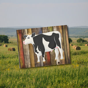 Holstein cow with old board background postcard