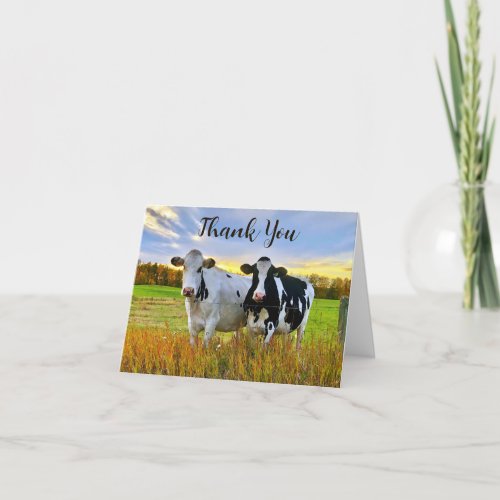 Holstein Cows In Autumn Thank You Note Card