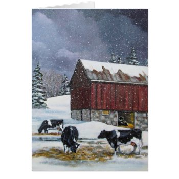 Holstein Cows In Snowy Barnyard: Original Painting by joyart at Zazzle
