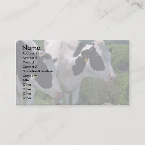 Holstein Dairy Cattle Business Card