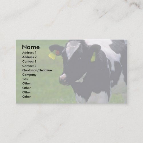 Holstein Dairy Cattle Business Card Templates